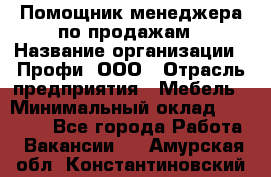 Помощник менеджера по продажам › Название организации ­ Профи, ООО › Отрасль предприятия ­ Мебель › Минимальный оклад ­ 60 000 - Все города Работа » Вакансии   . Амурская обл.,Константиновский р-н